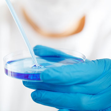 規(guī)范、品控管理